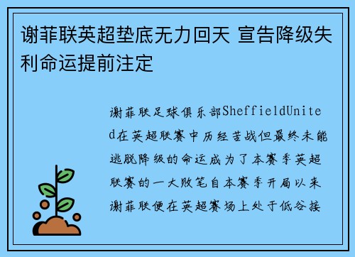 谢菲联英超垫底无力回天 宣告降级失利命运提前注定