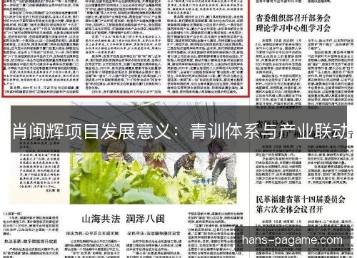 肖闽辉项目发展意义：青训体系与产业联动